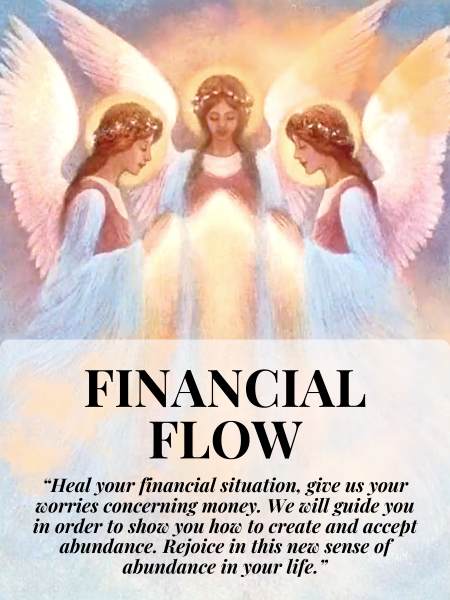 Financial Flow